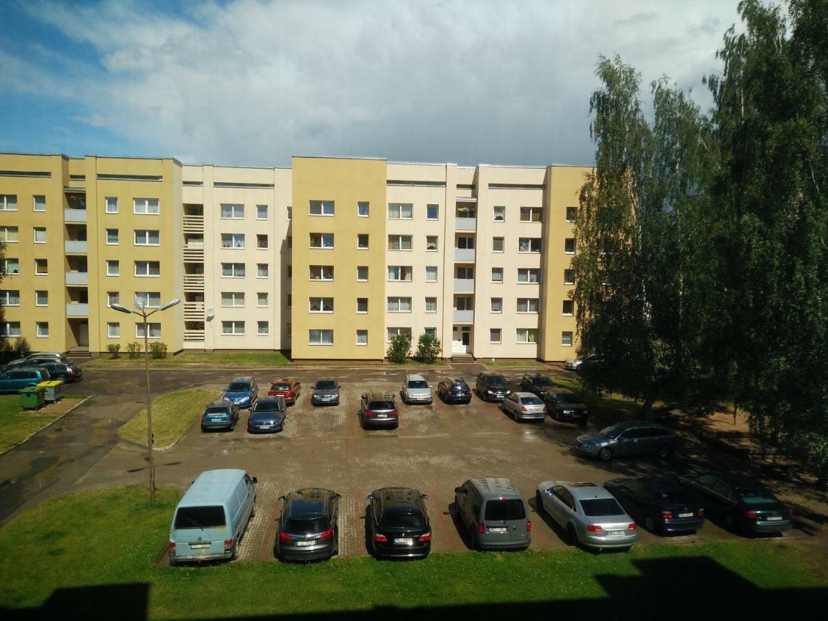 Kaktuss Valmiera